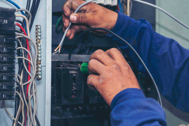 Best Affordable Electrician  in Zephyrhills North, FL